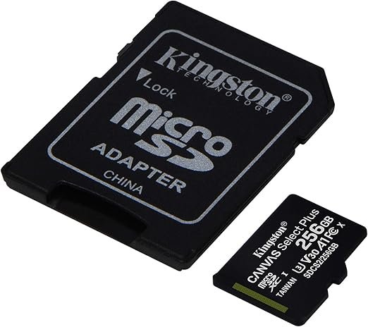 Kingston Scheda Micro SD 256G Con Adattatore SD